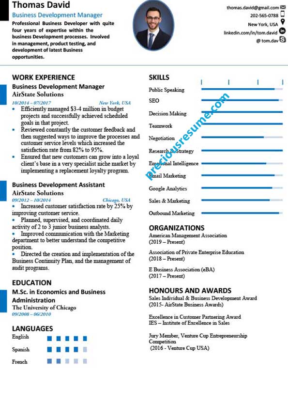 Professional resume writing services bangalore