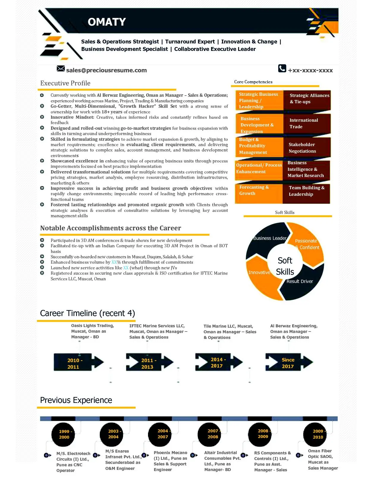 Infographic Resume Sample