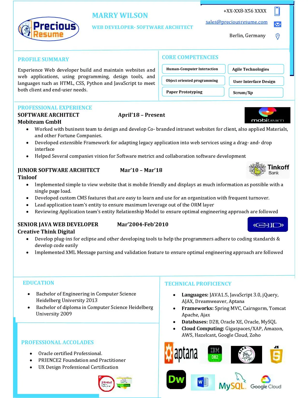 Infographic Resume Sample