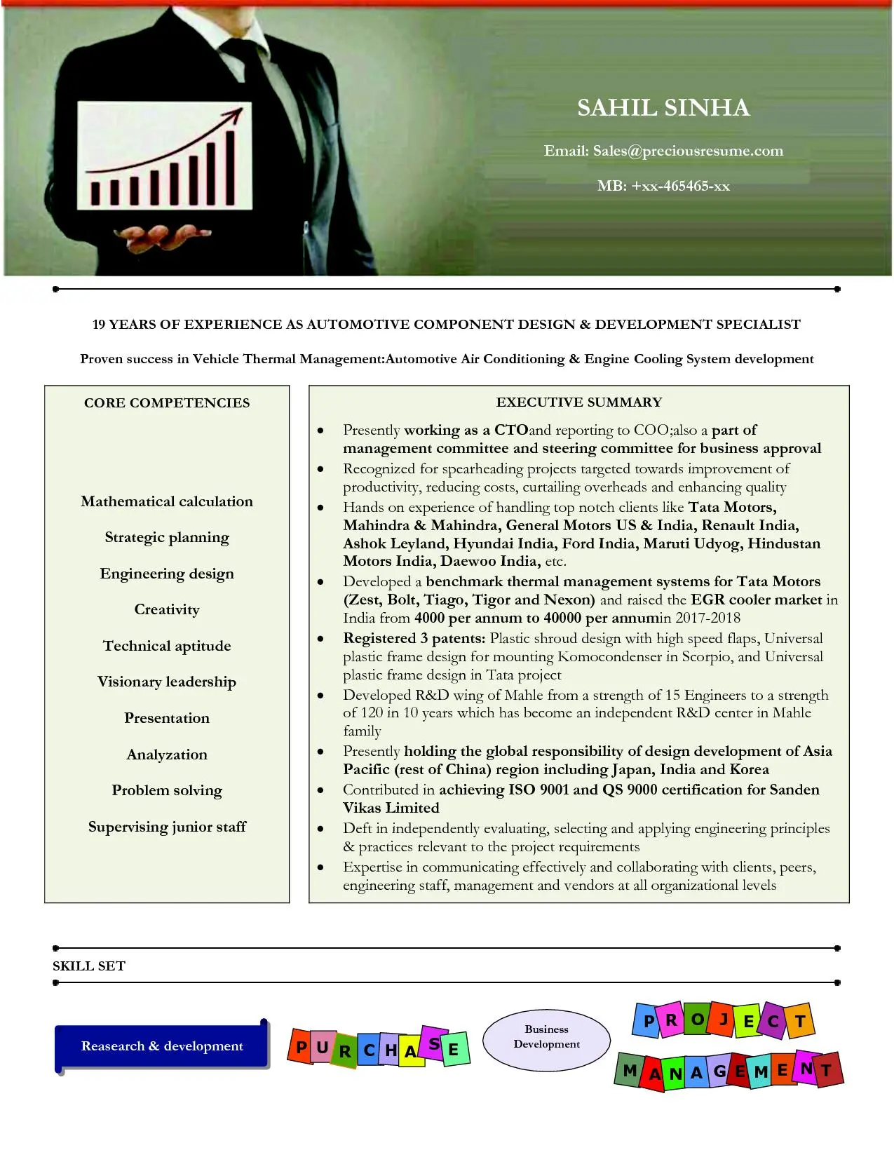 Infographic Resume Sample