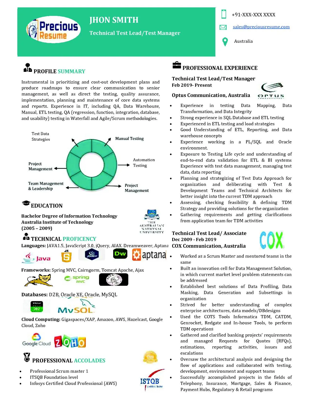 Infographic Resume Sample