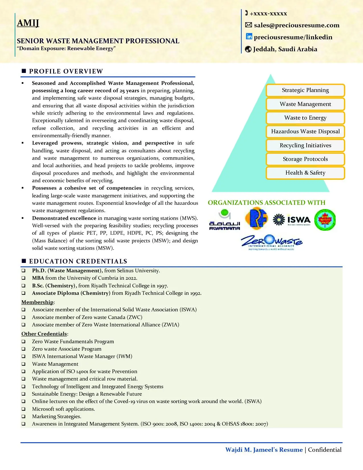 Infographic Resume Sample