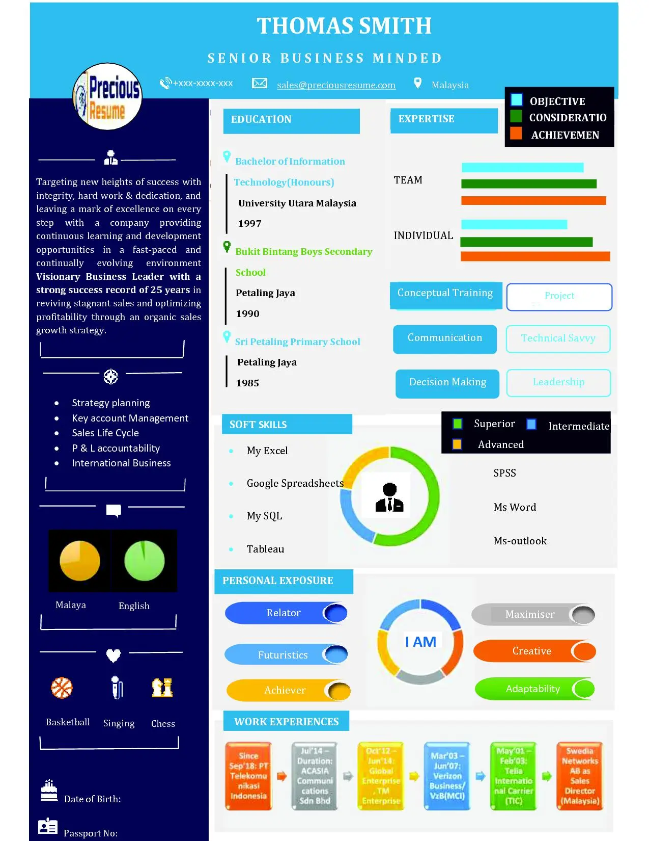Infographic Resume Sample