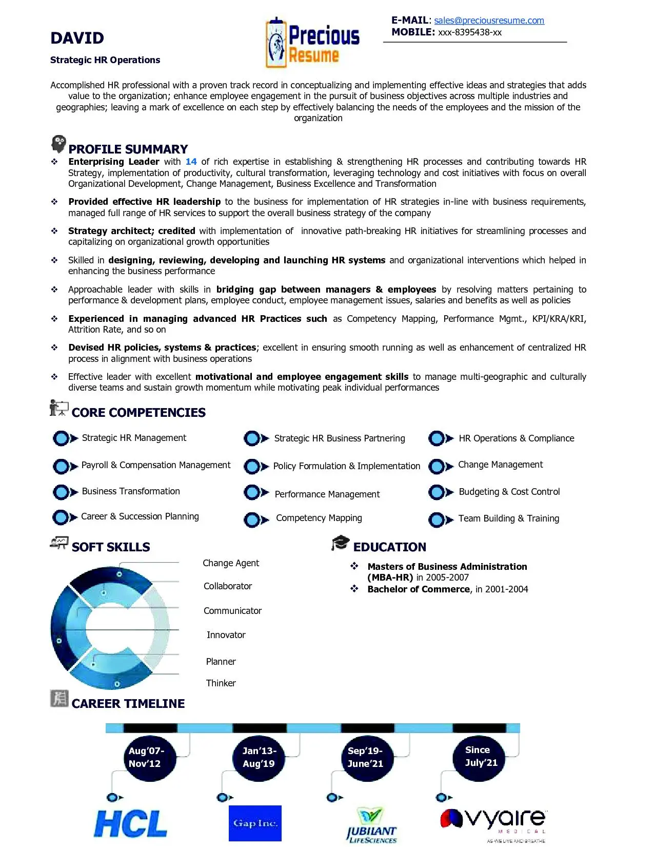 Infographic Resume Sample
