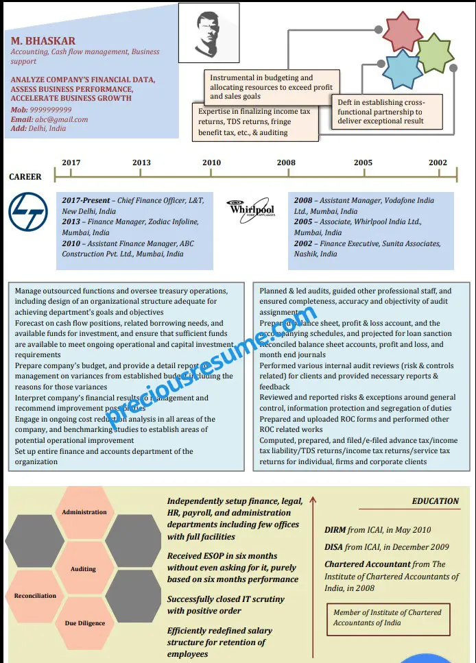 Infographic Resume Sample