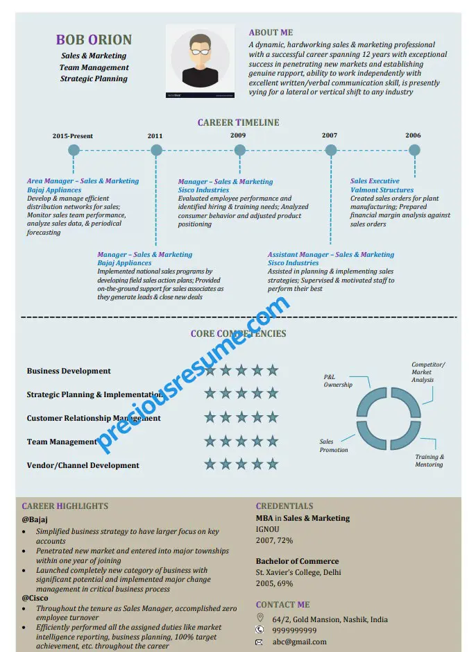 Infographic Resume Sample