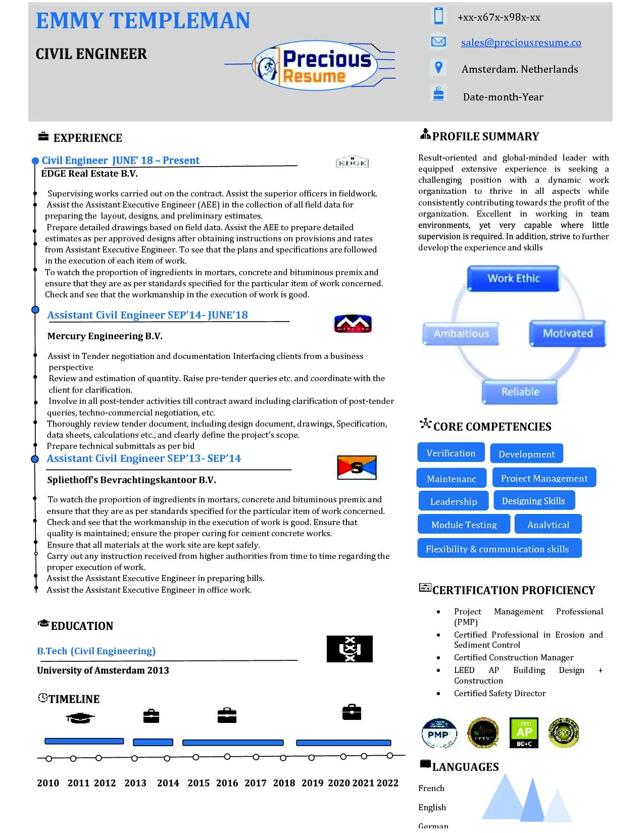 Infographic Resume Sample