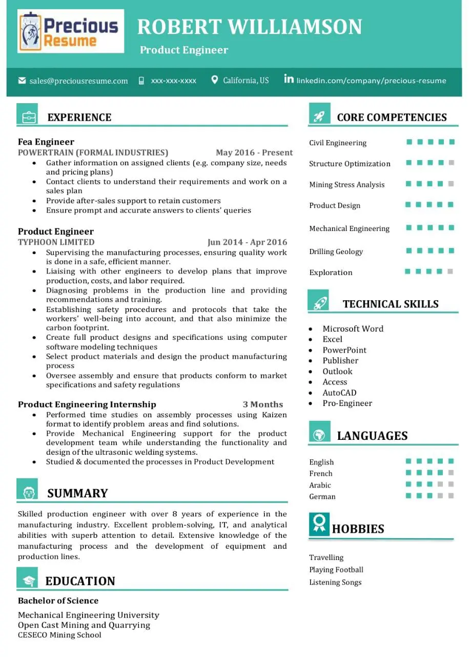 Infographic Resume Sample