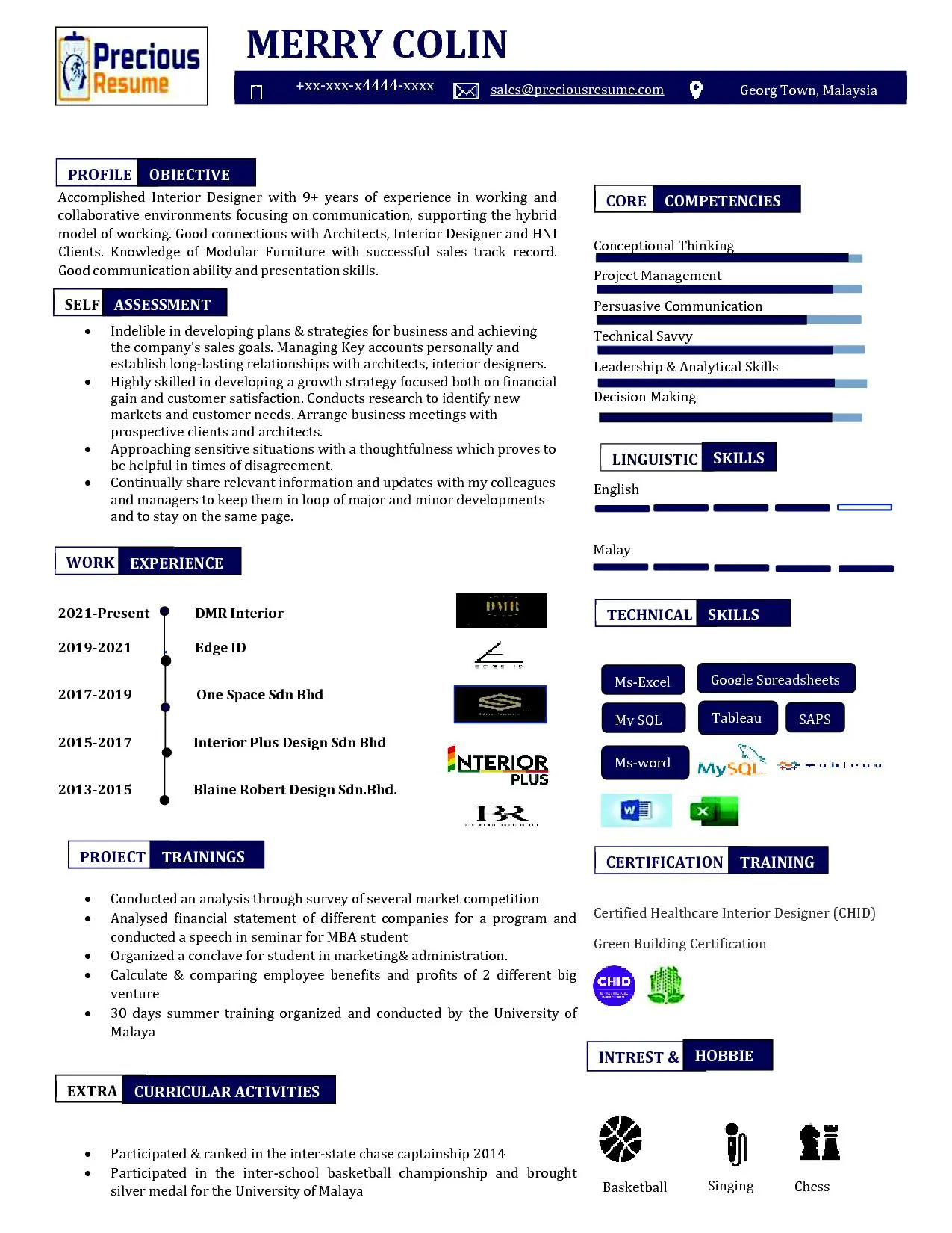 Infographic Resume Sample